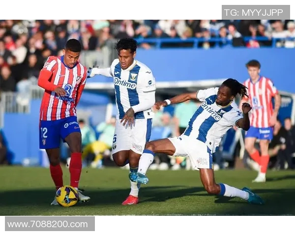 马竞新援表现抢眼，球迷期待更多胜利