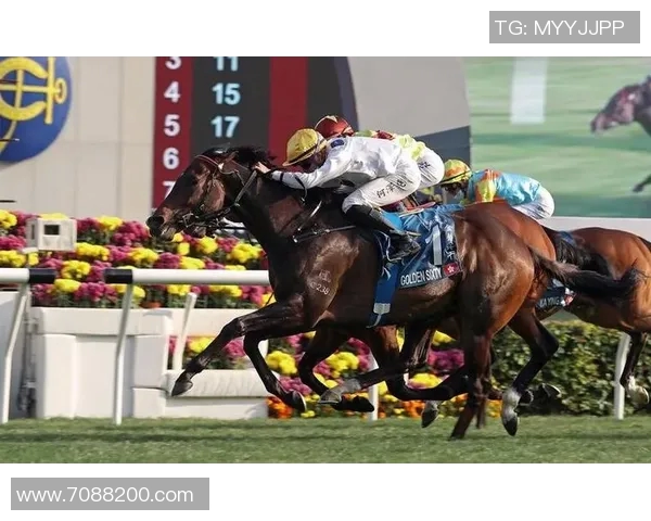 香港赛马会论坛探讨赛马文化与社区发展的新机遇与挑战