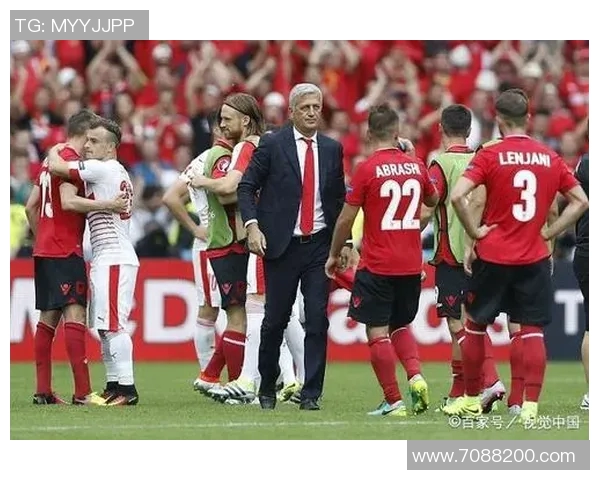 瑞士与丹麦足球对决解析及比赛表现综合评价 瑞士与丹麦足球对决解析及比赛表现综合评价