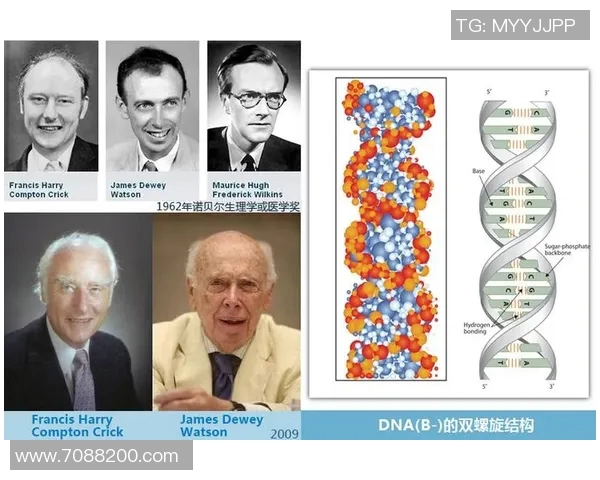 威尔金斯的传奇人生与科学探索之旅:从理论到实践的跨越与启示 威尔金斯的传奇人生与科学探索之旅:从理论到实践的跨越与启示